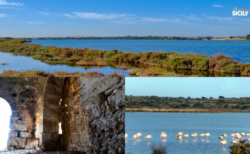 Vendicari segreta: passeggiata tra storia, natura e fenicotteri