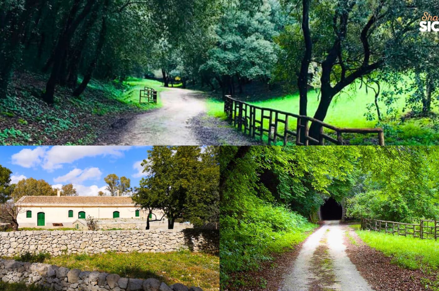 Giarranauti e la Foresta Calcinara: un angolo segreto di Pantalica