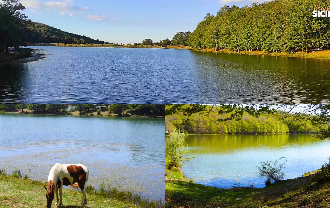 Soft Trekking al Lago Maulazzo nel cuore dei Nebrodi