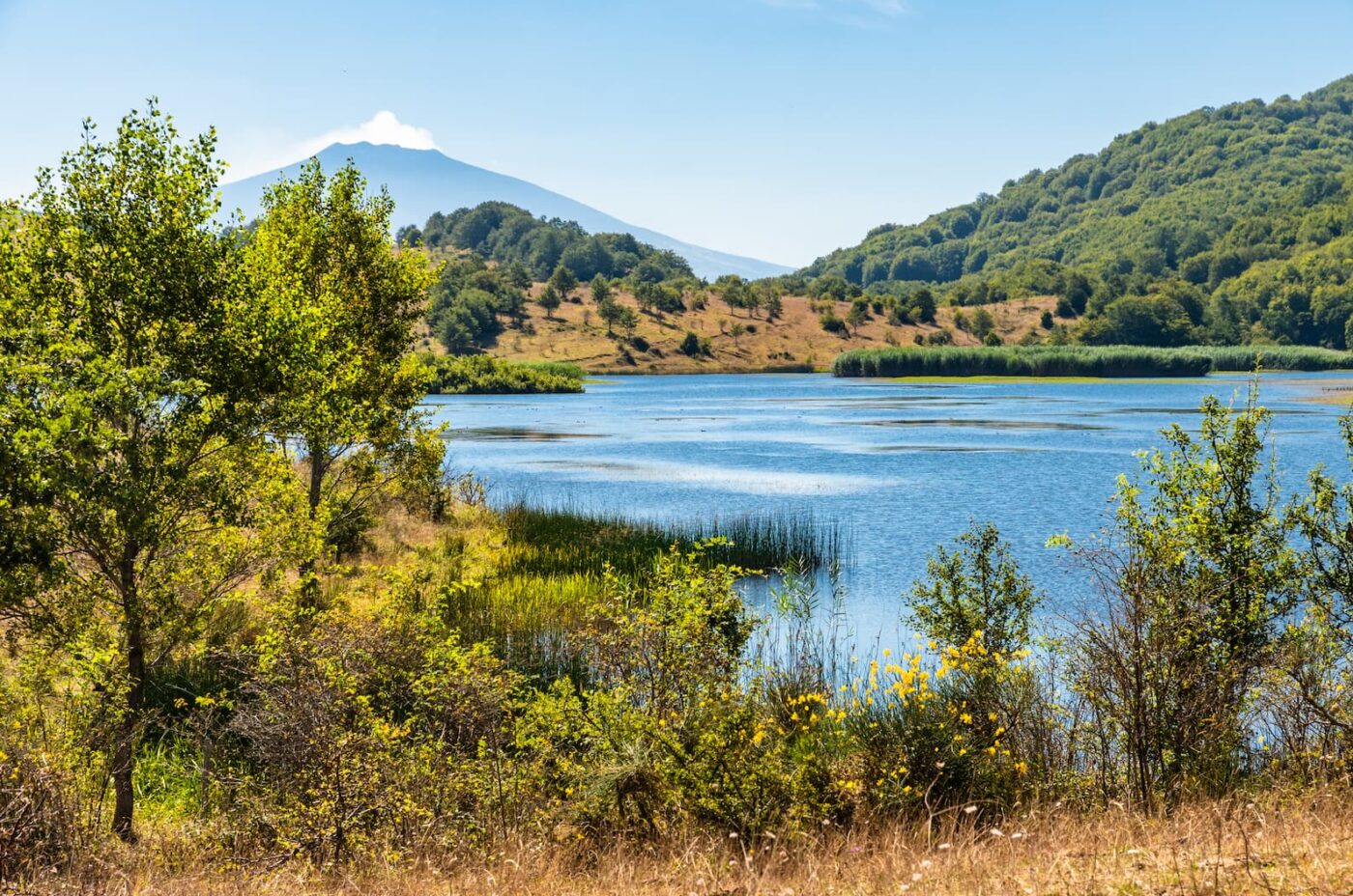 i 3 laghi più belli nel Parco dei Nebrodi per passeggiate tra boschi e animali in libertà