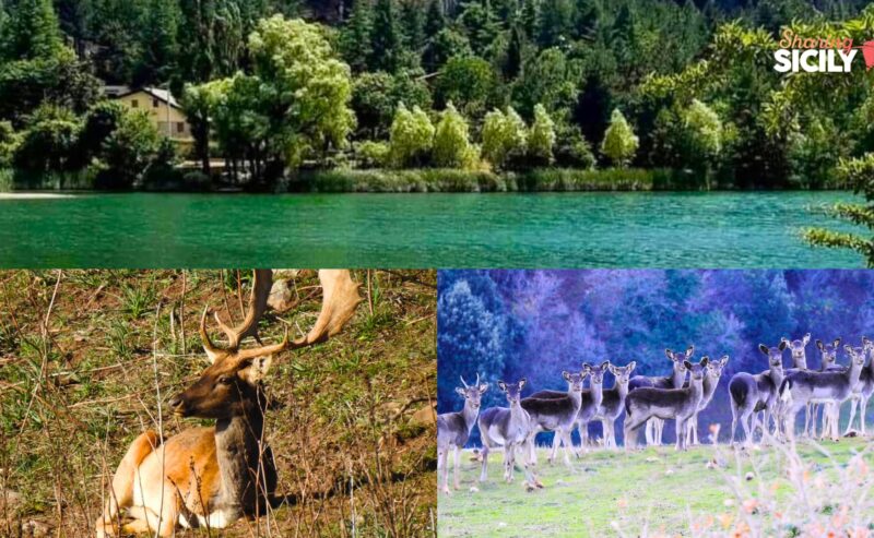 Trekking fino a Laghetto Mandria del Conte – Madonie in Primavera