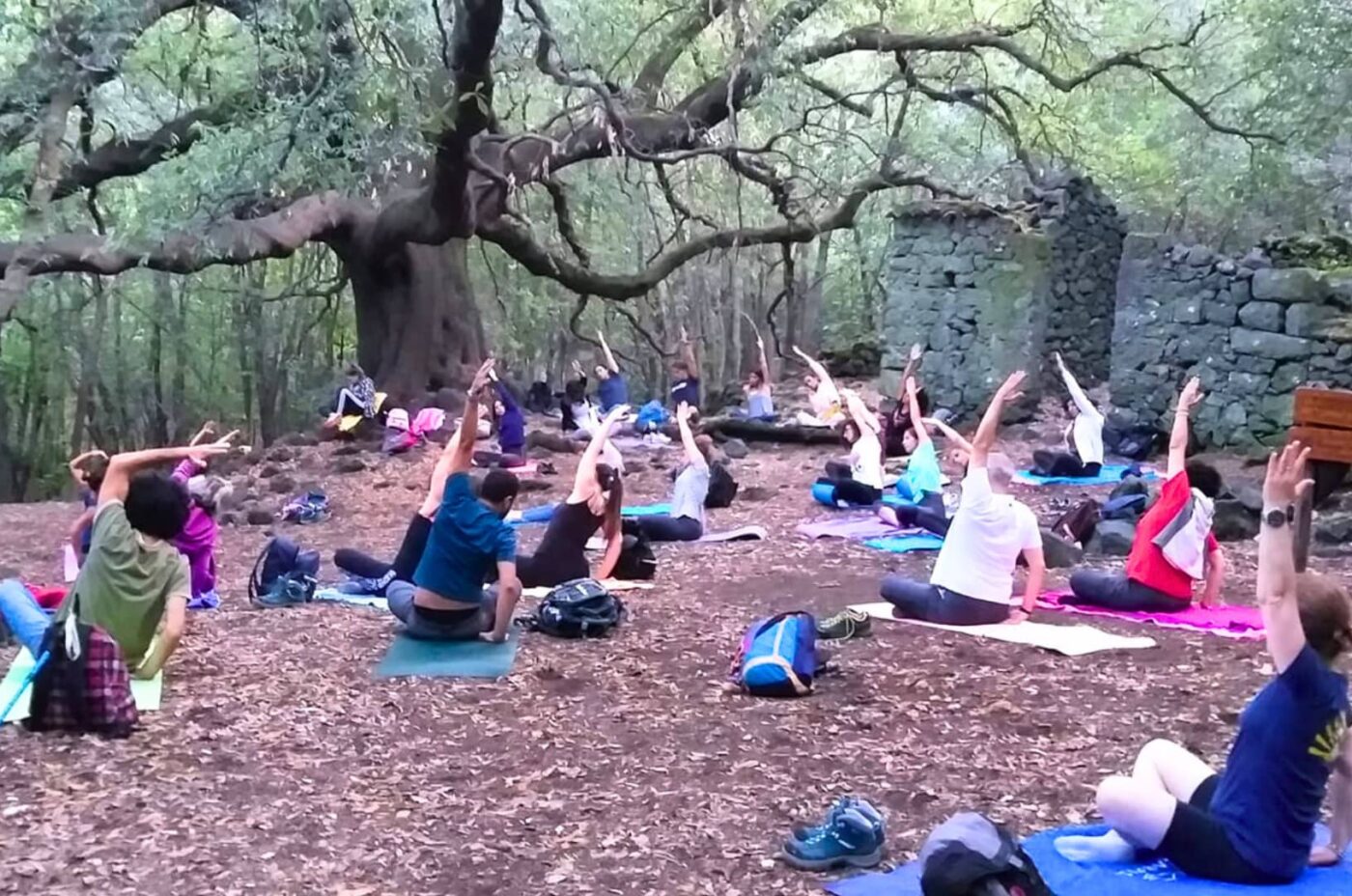 Trekking e Yoga tra i boschi dell’Etna – Rifugio Monte Crisimo
