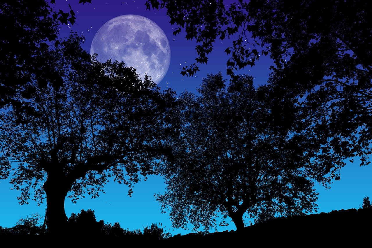 Passeggiata al Chiaro di Luna sull’Etna – Sabato 9 Agosto – Vigilia di San Lorenzo
