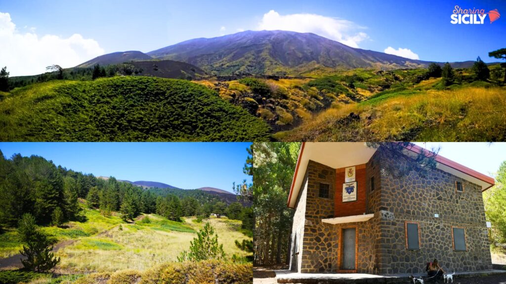 Piano delle Quaglie escursione facile Etna Nord da Piano Provenzana