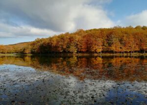 I laghi più belli nel Parco dei Nebrodi per passeggiate tra boschi, foliage e animali in libertà